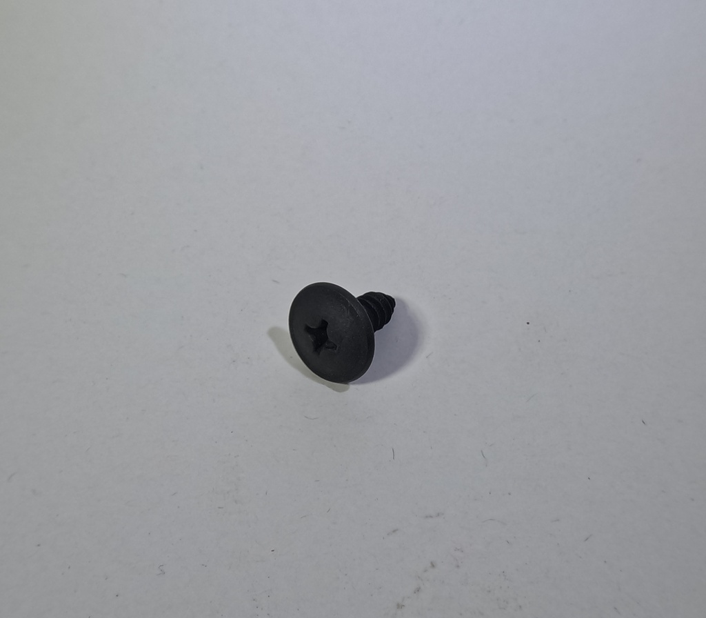 Phillips screw M6-0.3-1.81X16mm