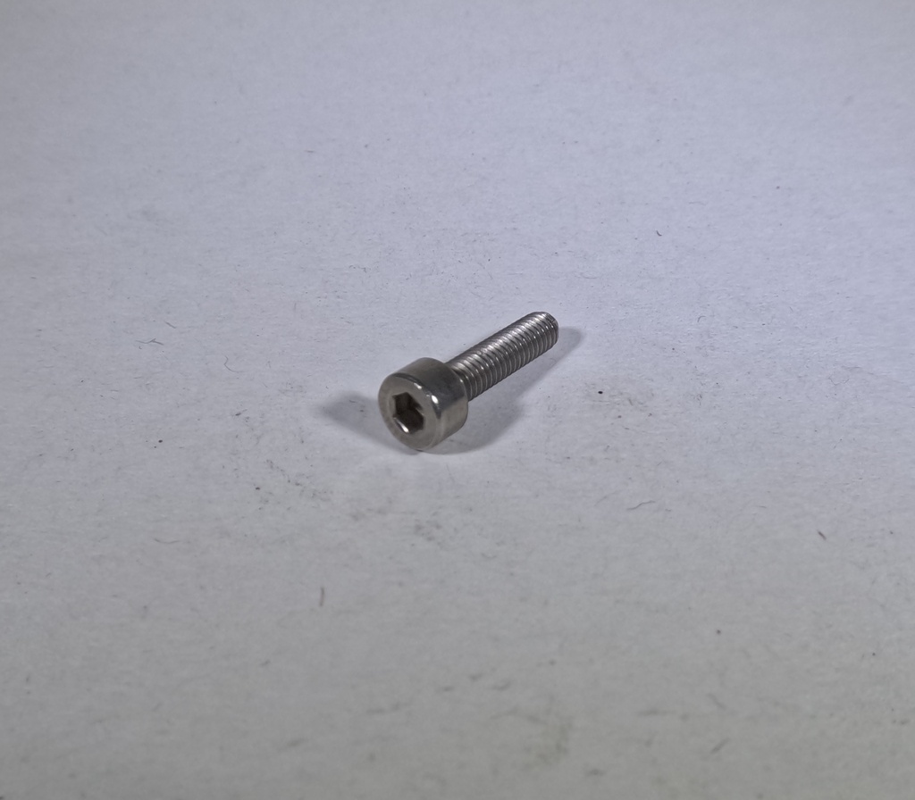 Inox bolt