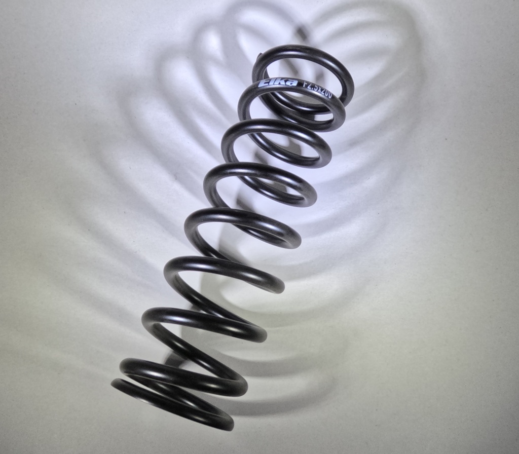 Main spring